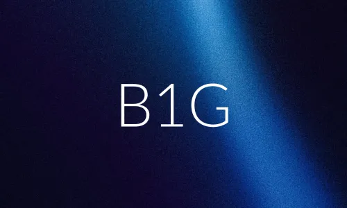 B1G RESELLER